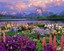 flowercity_flipper