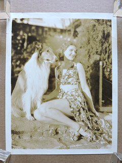Anna Sten with her Collie original leggy fashion portrait photo 1930's