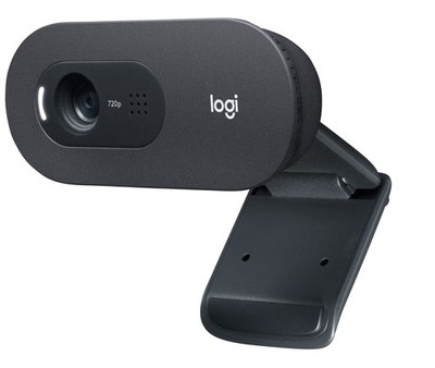 Logitech Webcam C505e HD 720p, FOV 60°, 30 fps Einzeln