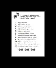 Labrador Retriever - CUSTOM MATTED - Dog Art Print - P/L