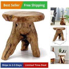 Natural Cedar Stump Stool, 14" End Table, Live Edge Side Table, Plant Stand, ...