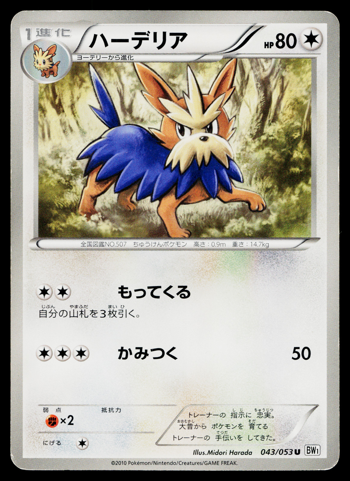 HERDIER 043/053 WHITE COLLECTION JAPANESE POKEMON TCG