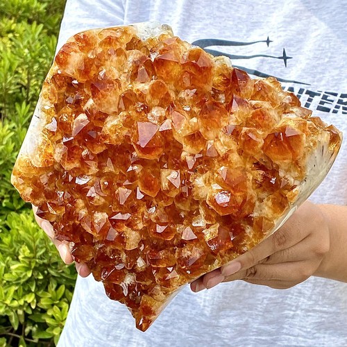 9.43LB Natural citrine crystal cluster - golden crystal cluster flower specimen - 第 12/13 張圖片