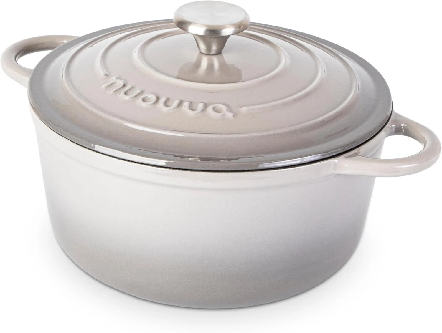 5-Quart Nonstick Cast Iron Dutch Oven Ovenproof Enamelled Casserole Pot with Lid
