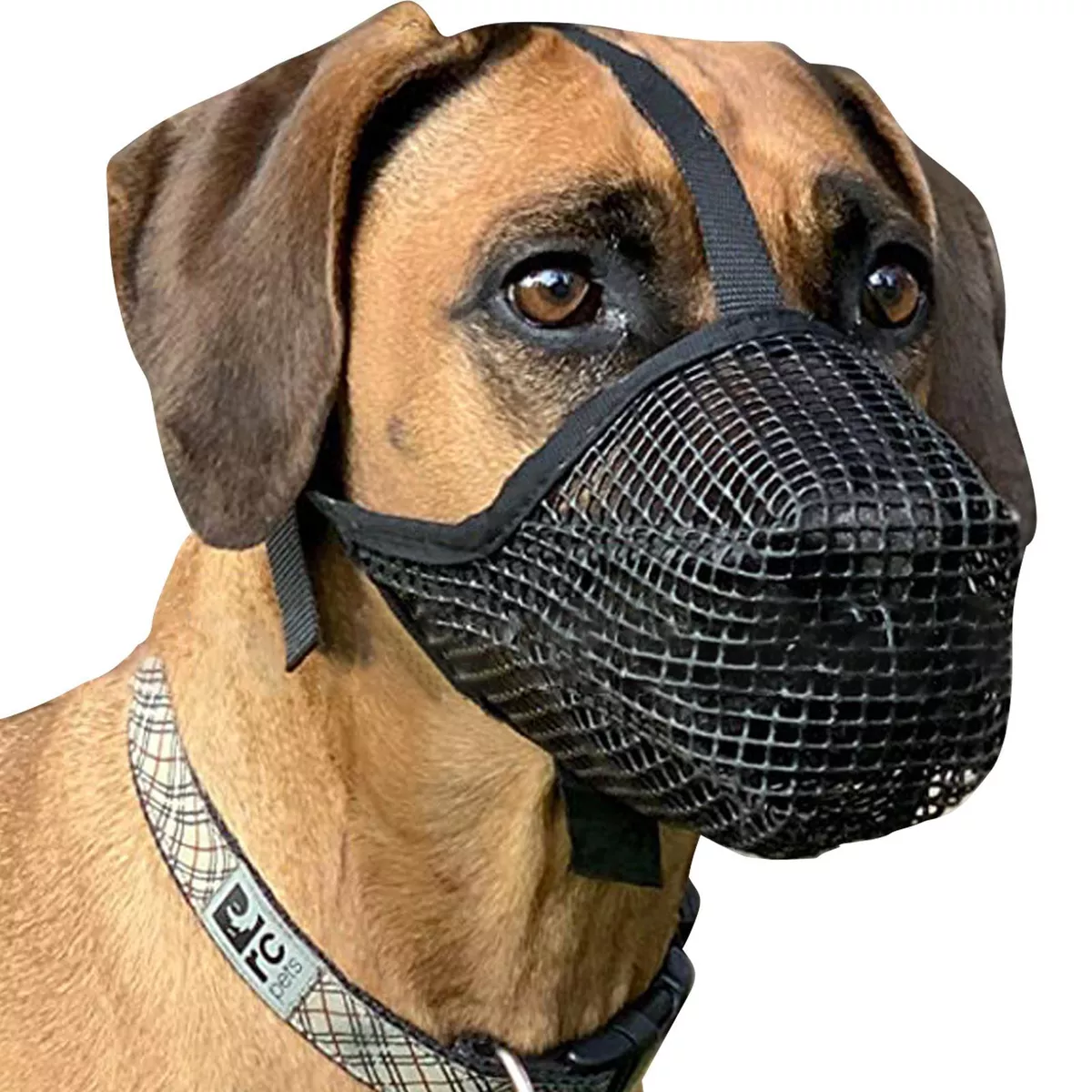 Dog Muzzle For Large Dogs Adjustable Mesh Muzzle Dog Mouth Guard