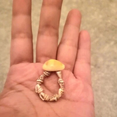 Anillo de concha de mar de cowrie hawaiano joyería de sirena bohemia talla 6,5 - 7,5 Foto 1 de 4
