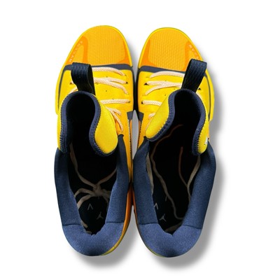 Air Jordan Zoom Separate PF Michigan Wolverines PE Player  display picture 3