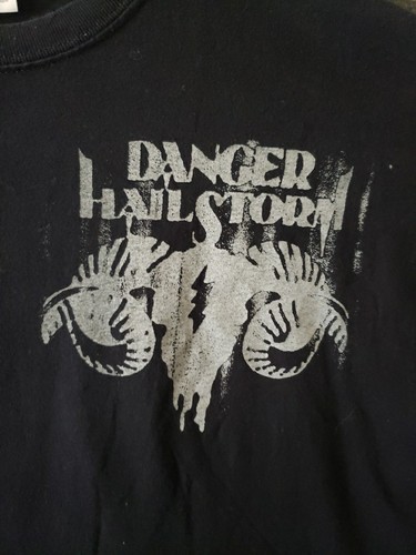 Gildan Danger Hail Storm T-Shirt Large schwarz - Bild 2 von 12