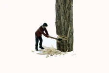 Lumberjack SWINGING with axe into tree UNDERCUTTING it Finished S scale
