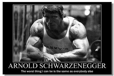 Arnold Schwarzenegge Body Building Room Wall Print Poster 20x30