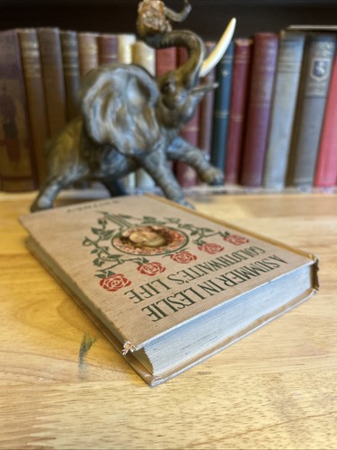 A Summer In Leslie Goldthwaite’s Life By Mrs ADT Whitney HC Hurst & Co Illust - Picture 5 of 13