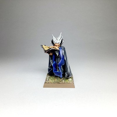 Pro Painted WIZARD Warhammer Fantasy Old World Games Workshop