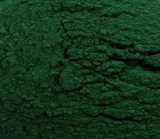 50g Spirulina powder food fish tropical fish discus fish Cichlid fish and Shrimp