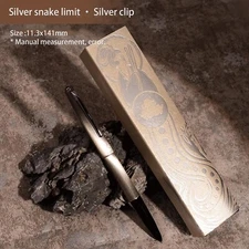 2025 THEBAI THYER Snake Metal Fountain Pen EF/F Nib Converter Writing Office NM2