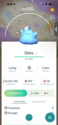 Pokemon Go Shiny Ditto Mütze (Hintergrund)