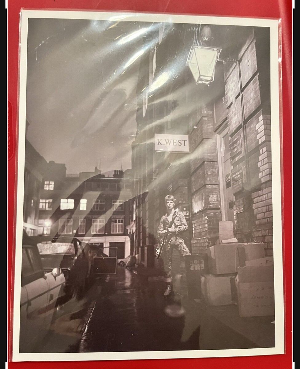 David Bowie The Rise And Fall Of Ziggy Stardust Photo Culturefly