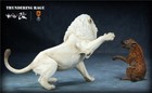 Foto 5 di 5