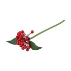 Bild 30 von 38