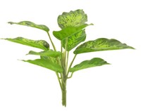artplants Deko Pflanze Dieffenbachia Xumei, Steckstab, GrüN-Creme, 25 Cm