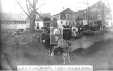 Norman's Kill Farm Dairy Cows Barns Albany New York NY - Reprint