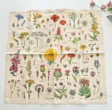 Cavallini Vintage Tea Towel ~ Wildflower Specimens ~ 100% cotton ~ 18" x 18"