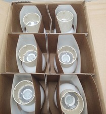 QL Company Induction 55w Lamps 4000K Twist Base - Case of 6 - White