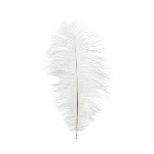 White Multi-Purpose Craft Supplies