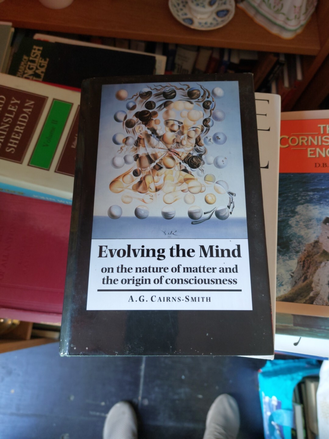 Evolving the Mind: On the Nature of Matter and the Origin of Consciousness by A.