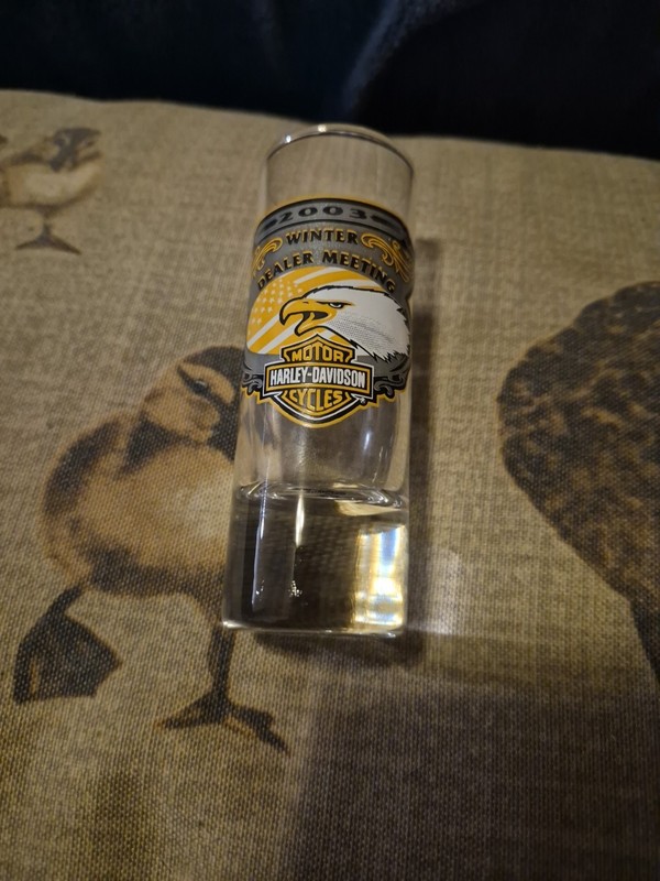 Vintage 2003 Harley Davidson Winter Dealer Meeting Shot Glass Shooter Eagle Logo