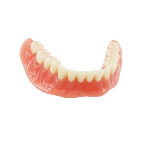 Multiple Types Dental Teeth Model Ortho Implant Practice Teaching Demo Model - Picture 95 of 276