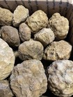 BOX OF KENTUCKY GEODES:VARIOUS SIZES-1” TO 4” LAPIDARY! BOX B — photo 4