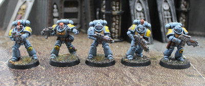 5x Space Wolf Intercessors, Artist Painted, ID#3104