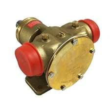 Johnson Pump 10-13021-95 Npt Self-Priming Flexible Impeller Pump F8B 1-1/4"