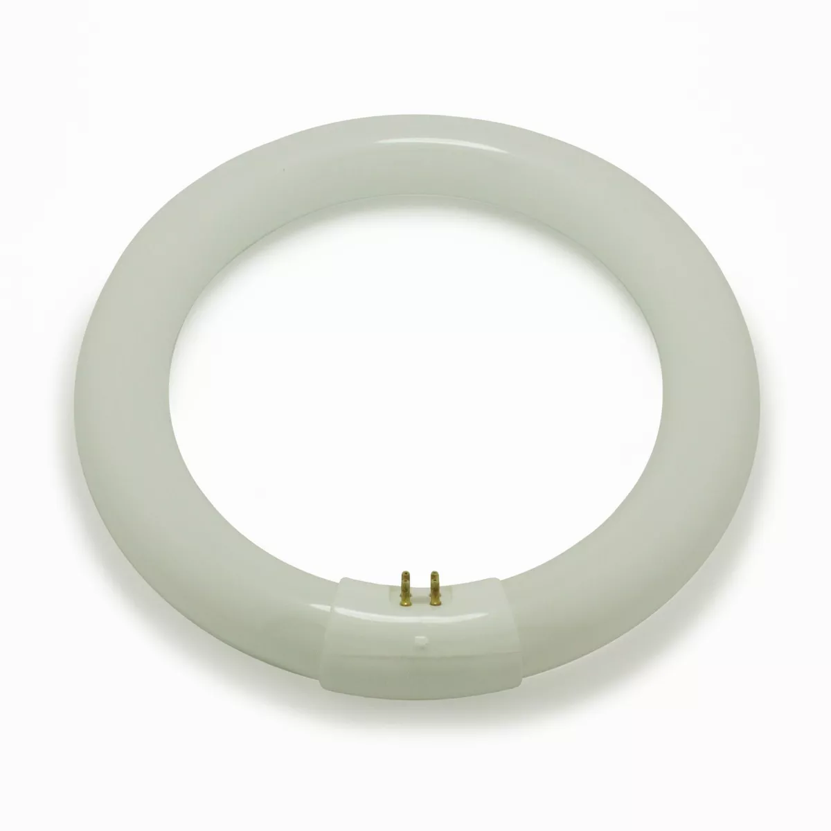 Sylvania 32 watt Colour 865 Daylight G10q Circular Fluorescent Tube T9 01965