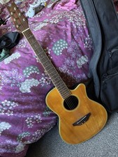 Electro Acoustic Guitar with Case
