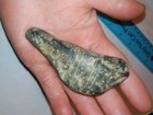  AUTHENTIC INDIAN SPIRITUAL EFFIGY BIRD ARROWHEAD ARTIFACT COLLECTIBLE RELIC — photo 1