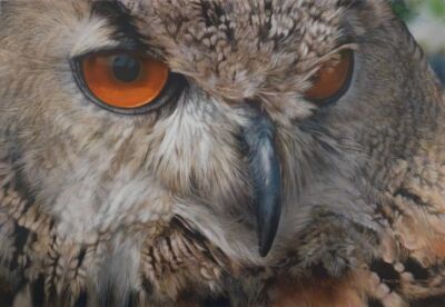 Carl Brenders, KING OF THE NIGHT-OWL, giclee canvas ARTIST PROOF A/P#2/15