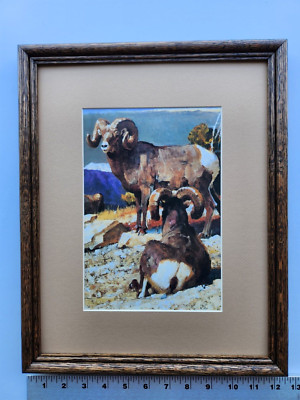 Bob Kuhn TWO BIG RAMS 11x14 framed 5.75 518