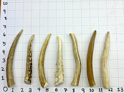 #ad 6quot; Deer Antler Dog Chew Thin Grade A Natural Shed Treat for Dogs – 4 Pack $24.99