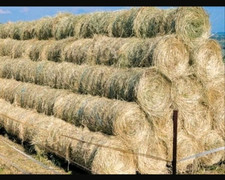 Heuballen, Heu, Minirundballen, 50x70cm, Wiesenheu, 2025, Kaninchen, Pferde
