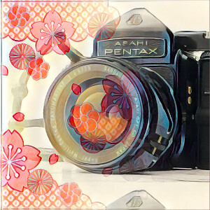 MIMAYA CAMERA JAPAN | eBay Stores