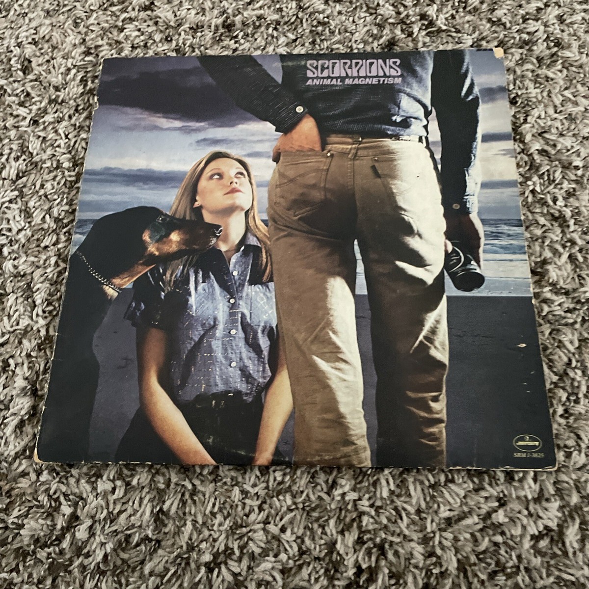 Scorpions animal magnetism レア Animal Magnetism by Scorpions Mercury Records 1980 | eBay