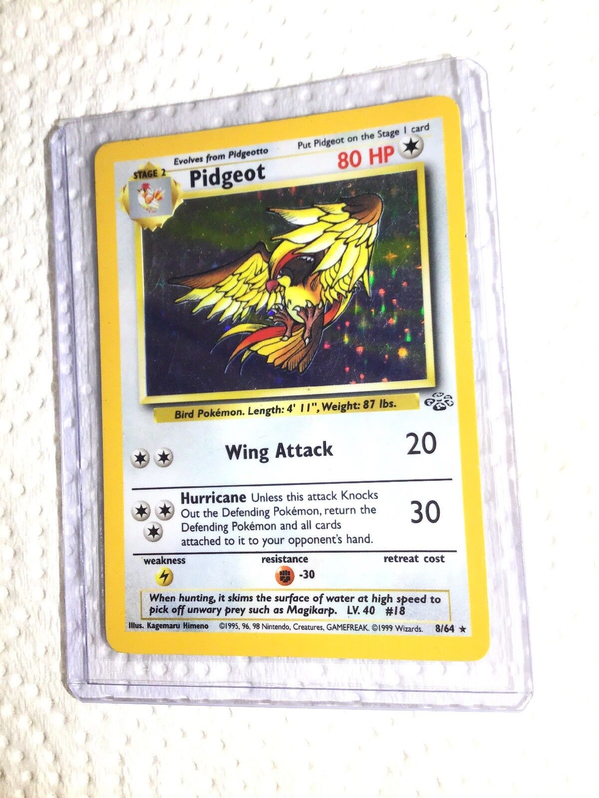 Pidgeot 018 Holo Jungle Set Pokemon Card Japanese Nintendo Rare Japan F/S　