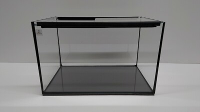 freshwater angelfish care