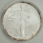 2009 $1 American Silver Eagle 1oz .999 Fine Silver Brilliant Uncirculated