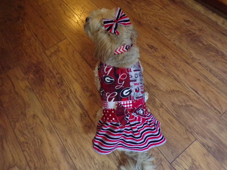 pet dog cheer dress,Georgia Bulldogs, LARGE for small breeds*(read size details) - Image 2 of 4