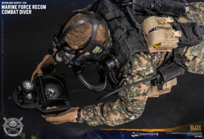 Damtoys 78055 1/6 Usmc Marine Force Recon Combat Diver Action