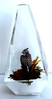 Vintage Hand Carved Painted Horned Owl Lucite/acrylic Unique Canada Paperweight — photo 2