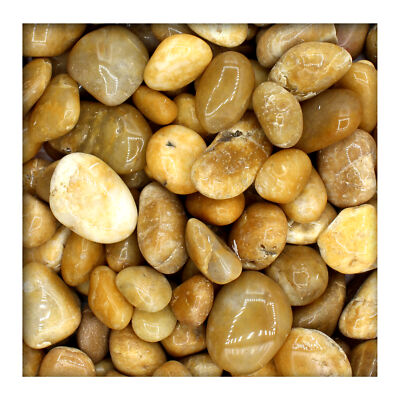 Gelber Glanzkies Zierkies Flusskiesel River Pebbles Gartenkies (2,78 EUR/kg)
