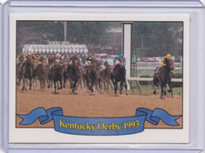 1994 HORSE RACE STAR CARDS KENTUCKY DERBY IDBLUE #119D WINNING MOVE